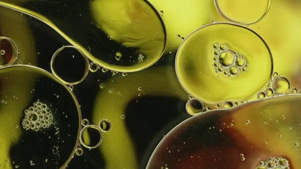 Абстрактное Цветное Пищевое Масло Капли Пузырьки Сферы Текущие Воде Поверхности — стоковое видео