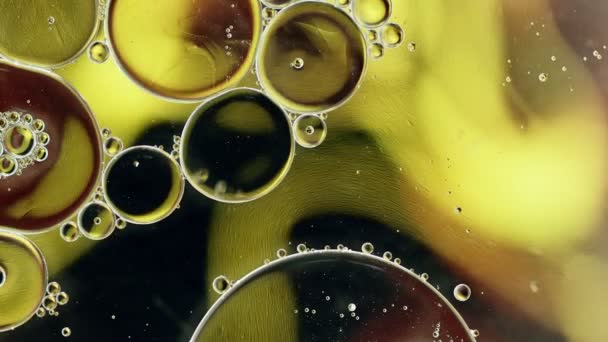 Abstrato Colorido Food Oil Gotas Bolhas Esferas Fluindo Água Uma — Vídeo de Stock