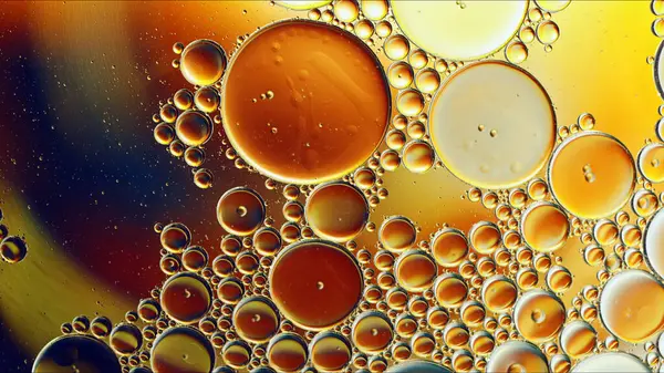 Abstract Colorful Food Oil Drops Bubbles and spheres Flowing on Water Surface, macro Photography