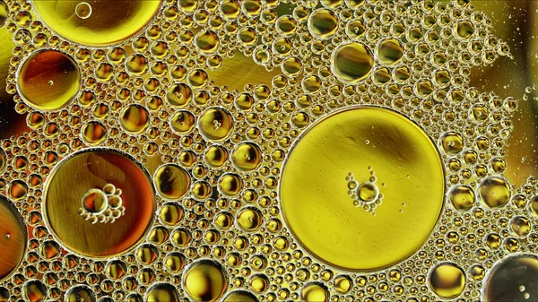 Abstract Colorful Food Oil Drops Bubbles and spheres Flowing on Water Surface, macro Photography