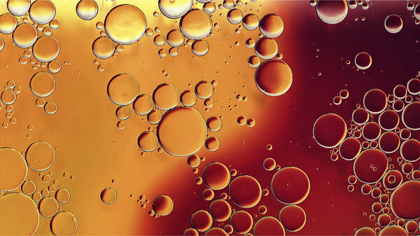 Abstract Colorful Food Oil Drops Bubbles and spheres Flowing on Water Surface, macro Photography