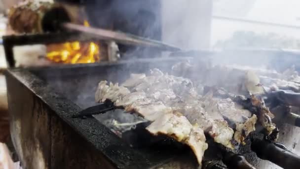 Traditionele Turkse Kebab Brand — Stockvideo
