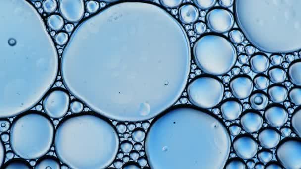 アブストラクトカラフルな食品油滴泡と球が水面に流れる — ストック動画