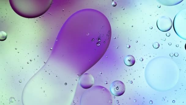 Реферат Красочные капли пищевого масла пузырьки и сферы, текущие по поверхности воды