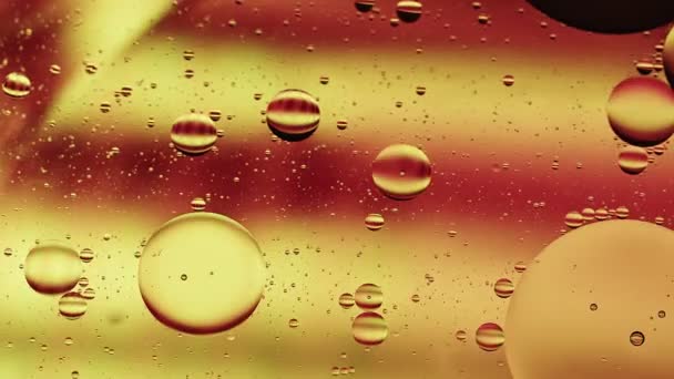 Abstraktní Barevné Kapky Potravinového Oleje Bubliny Koule Tekoucí Vodní Hladině — Stock video