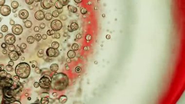 Soyut Renkli Gıda Yağı Kabarcıkları ve küreler Su yüzeyine akıyor