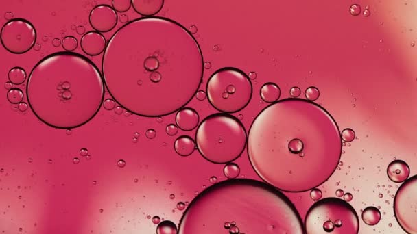 Abstract Kleurrijke Voedselolie Druppels Bubbels Bollen Stromen Het Wateroppervlak — Stockvideo