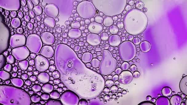 Abstracto Colorido Aceite Comida Gotas Burbujas Esferas Que Fluyen Superficie — Vídeos de Stock