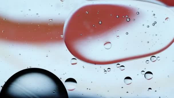 アブストラクトカラフルな食品油滴泡と球が水面に流れる — ストック動画