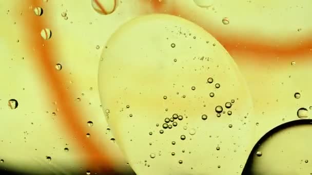 Soyut Renkli Gıda Yağı Kabarcıkları Küreler Yüzeyine Akıyor — Stok video