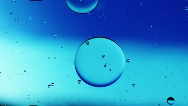 Tetesan Minyak Makanan Abstrak Gelembung Dan Bola Mengalir Permukaan Air — Stok Video