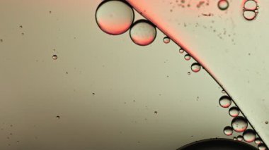 Soyut Renkli Gıda Yağı Kabarcıkları ve küreler Su yüzeyine akıyor