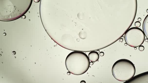 色彩斑斓的食用油水泡和在水面上流动的球体 — 图库视频影像