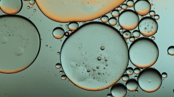 Abstrato Colorido Food Oil Drops Bolhas Esferas Fluindo Superfície Água — Vídeo de Stock