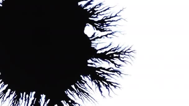 Mürekkep Düşürme Gerçeküstü Şekil Arkaplan Yüzey Görüntü Yayılımı — Stok video