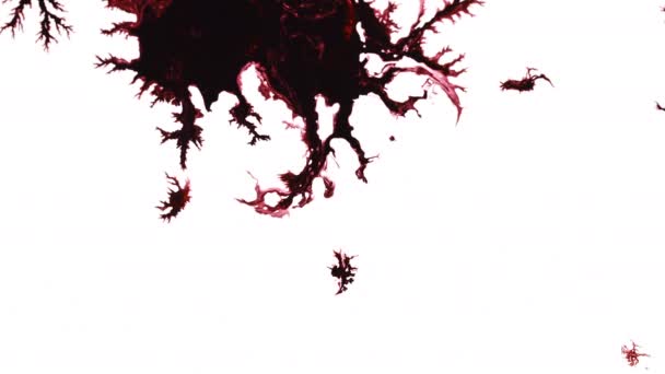 Чорнильні Краплі Сюрреалістична Форма Розповсюджуються Фоні Поверхні Відео — стокове відео
