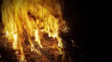 Orman yangını Gece cehennem gibi yanıyor