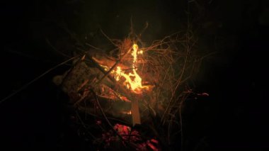 Orman yangını Gece cehennem gibi yanıyor