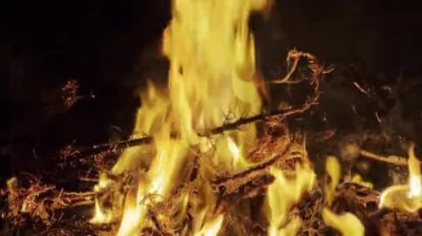 Orman yangını Gece cehennem gibi yanıyor