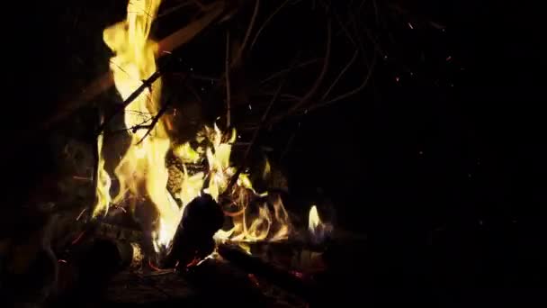 木の火は夜に地獄のように燃える — ストック動画