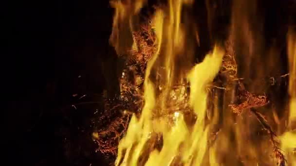 Elden Brinner Som Fan Natten — Stockvideo