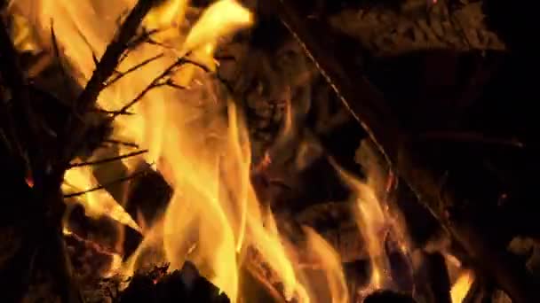 Ogień Drzewny Płonie Jak Piekło Nocy — Wideo stockowe