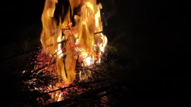 Holzfeuer Brennt Nachts Wie Die Hölle — Stockvideo