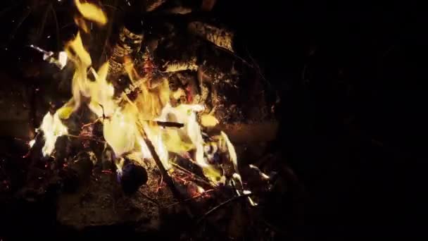 木の火は夜に地獄のように燃える — ストック動画