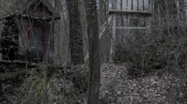 Ormandaki Eski Ahşap Köy Evi