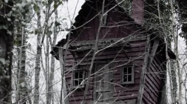 Ormandaki Eski Ahşap Köy Evi