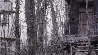 Ormandaki Eski Ahşap Köy Evi