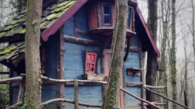 Ormandaki Eski Ahşap Köy Evi