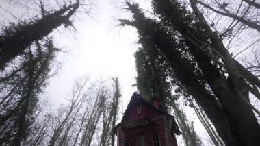 Ormandaki Eski Ahşap Köy Evi