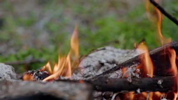 연기와 Bonfire — 비디오