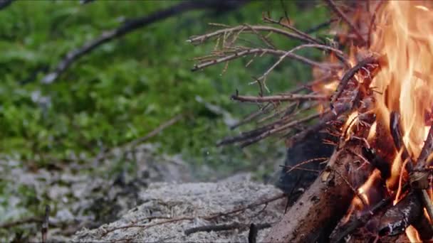 Abstract Oak Wood Bonfire Flames Smoke Ashes — Stock Video