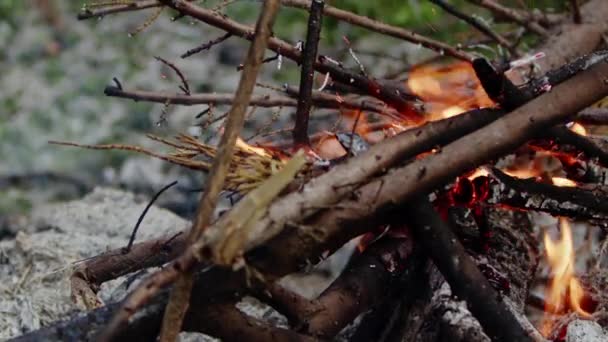 Αφηρημένη Oak Wood Bonfire Φλόγες Καπνού Και Στάχτης — Αρχείο Βίντεο