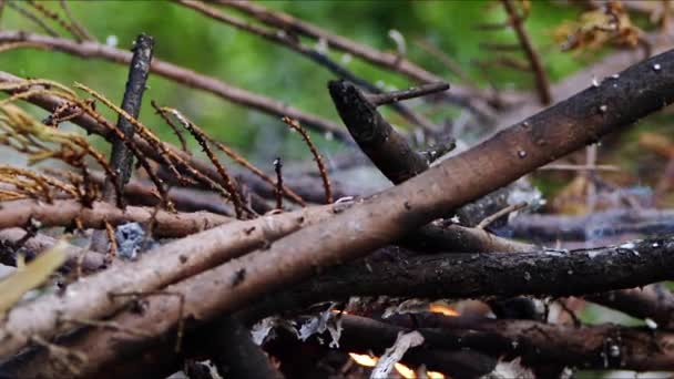 Abstrakt Oak Wood Bonfire Flames Smoke Ashes — Stock video