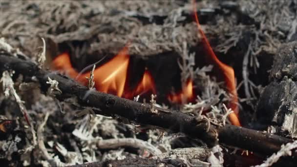 Abstract Eikenhouten Vreugdevuur Vlammen Rook — Stockvideo