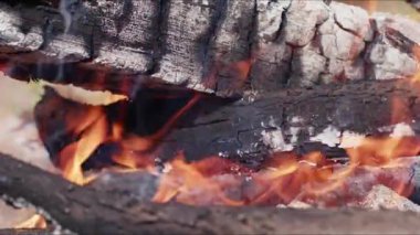  Alevler İçindeki Soyut Meşe Ağacı Ateşi Duman ve Küller