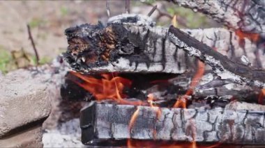  Alevler İçindeki Soyut Meşe Ağacı Ateşi Duman ve Küller