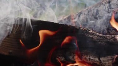  Alevler İçindeki Soyut Meşe Ağacı Ateşi Duman ve Küller