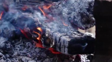 Alevler İçindeki Soyut Meşe Ağacı Ateşi Duman ve Küller