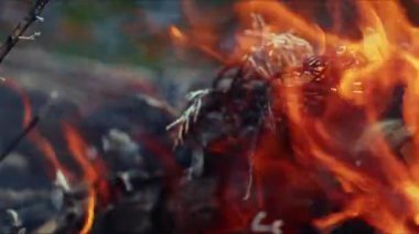  Alevler İçindeki Soyut Meşe Ağacı Ateşi Duman ve Küller