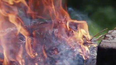  Alevler İçindeki Soyut Meşe Ağacı Ateşi Duman ve Küller