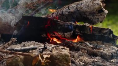  Alevler İçindeki Soyut Meşe Ağacı Ateşi Duman ve Küller