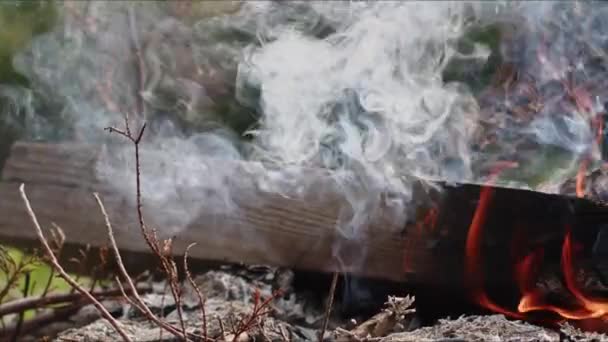 Abstraktes Eichenholzfeuer Flammen Rauch Und Asche — Stockvideo