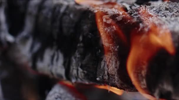 Streszczenie Ognisko Drewna Dębowego Płomieniach Smoke Ashes — Wideo stockowe