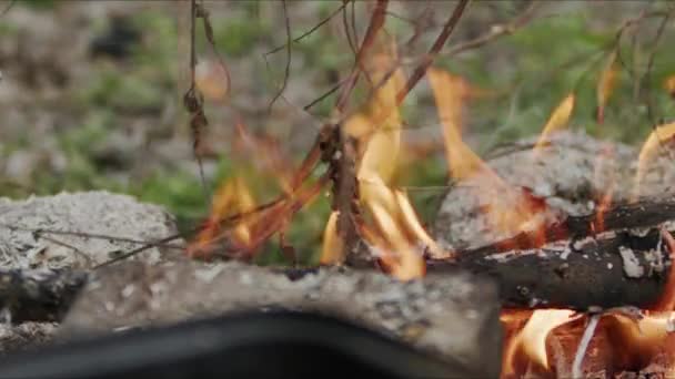 抽象的なオークウッドボンファイアの炎 煙と灰 — ストック動画
