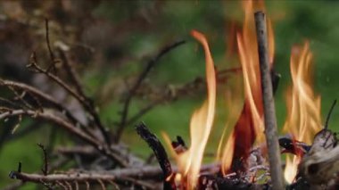  Alevler İçindeki Soyut Meşe Ağacı Ateşi Duman ve Küller