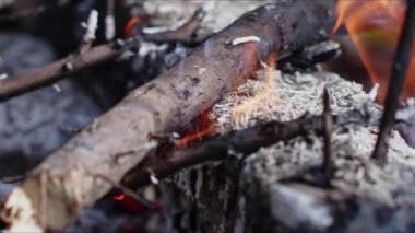  Alevler İçindeki Soyut Meşe Ağacı Ateşi Duman ve Küller